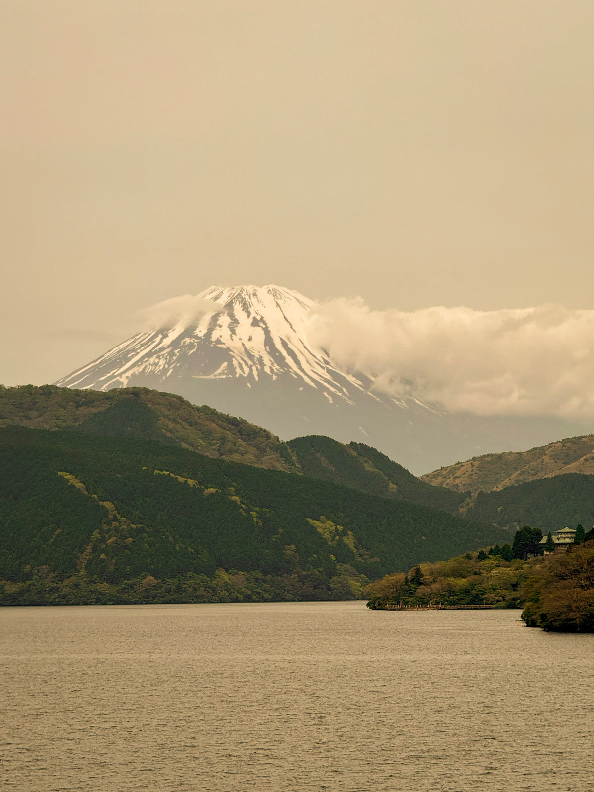 Plantations de thé au Japon, entre Kagoshima et Uji